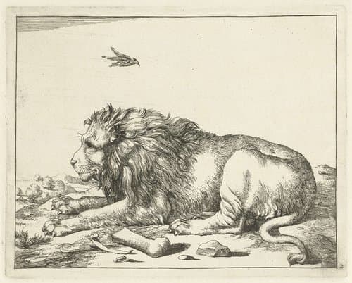 Roofdieren en zwijnen by Marcus de Bye