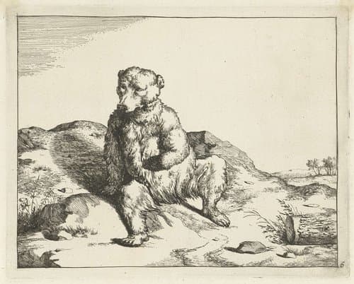 Roofdieren en zwijnen by Marcus de Bye
