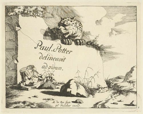 Luipaard achter rots by Marcus de Bye