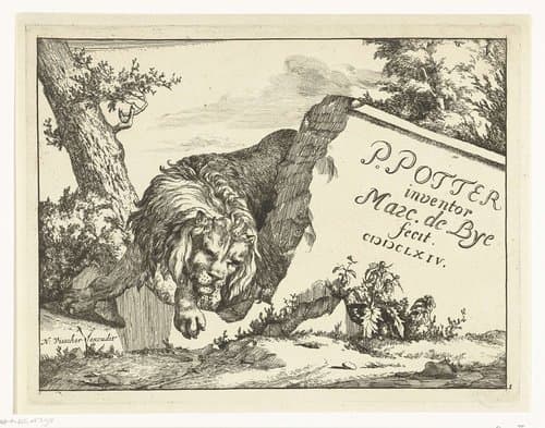 Leeuw bij stenen muur by Marcus de Bye