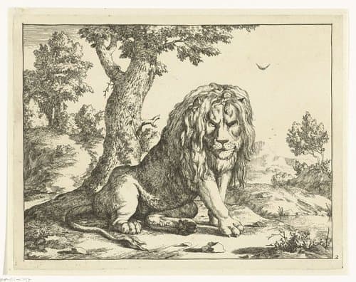 Leeuw zittend bij boom by Marcus de Bye