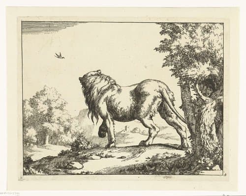Leeuwen by Marcus de Bye