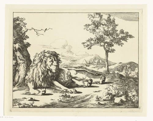Liggende leeuw opzij kijkend by Marcus de Bye