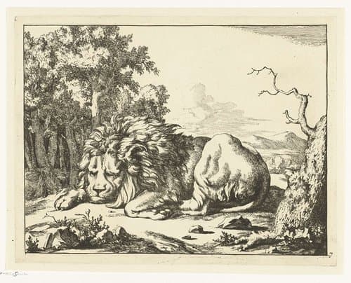 Leeuwen by Marcus de Bye
