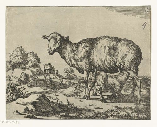Schaap met drinkend lam by Marcus de Bye