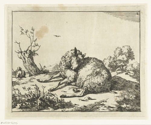 Liggend schaap, bij knotwilg by Marcus de Bye