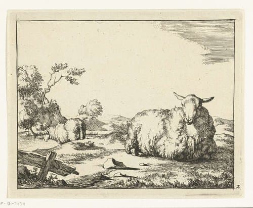 Liggend schaap, hekje op voorgrond by Marcus de Bye