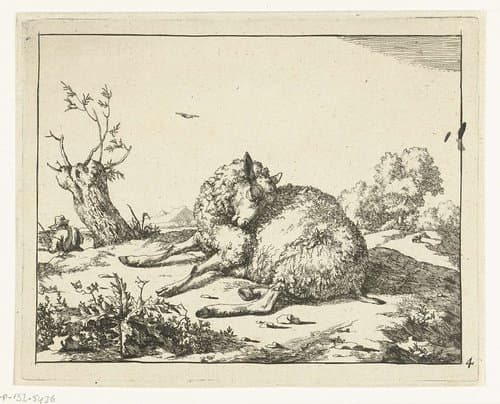 Liggend schaap, bij knotwilg by Marcus de Bye