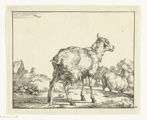Pissend schaap by Marcus de Bye