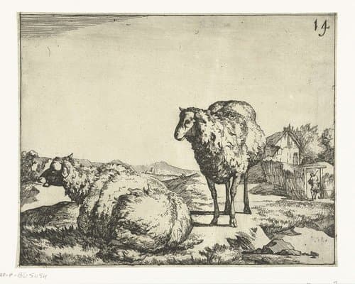Staand en liggend schaap met boerderij op achtergrond by Marcus de Bye
