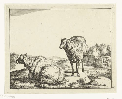 Staand en liggend schaap met boerderij op achtergrond by Marcus de Bye