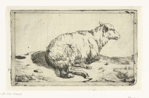 Rustend schaap by Marcus de Bye