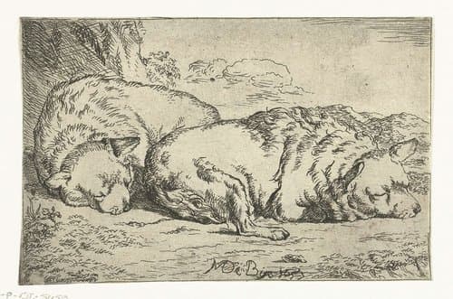 Twee slapende honden by Marcus de Bye