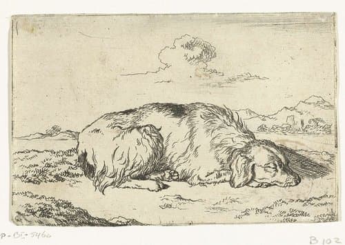 Slapende hond by Marcus de Bye