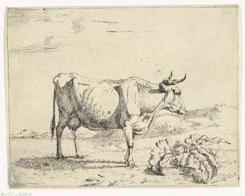 Staande koe by Marcus de Bye