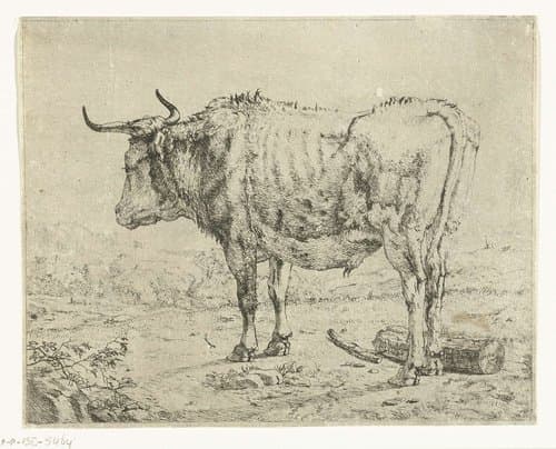 Staande stier by Marcus de Bye