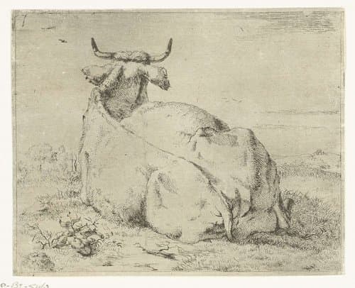 Liggende koe, van achter gezien by Marcus de Bye