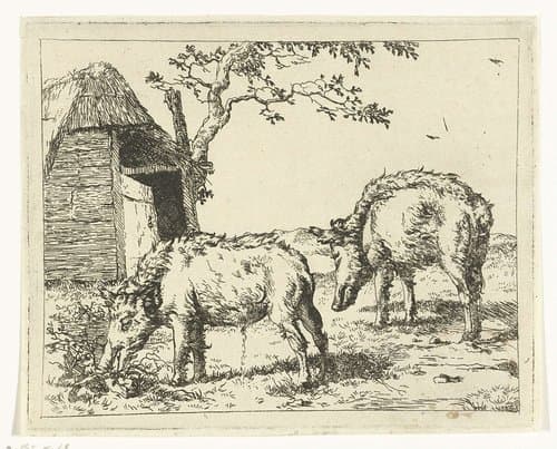 Twee grazende zwijnen by Marcus de Bye