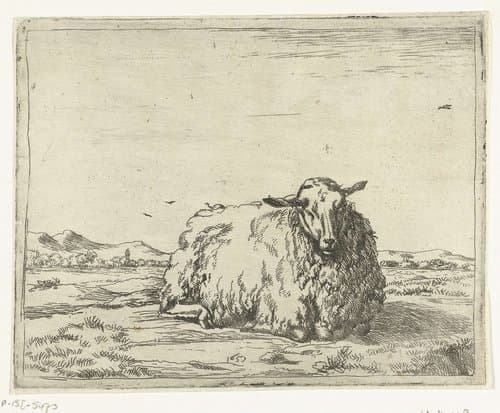 Rustend schaap by Marcus de Bye