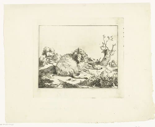 Liggend schaap, bij knotwilg by anonymous