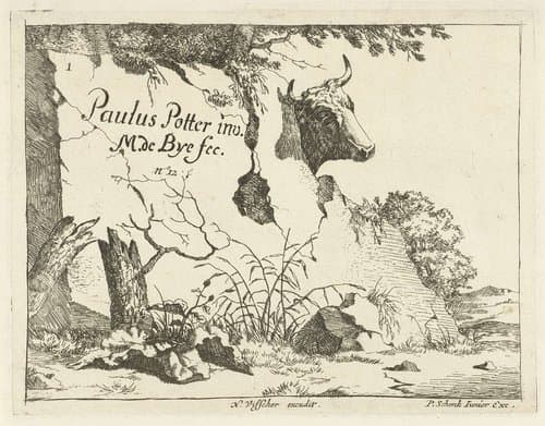 Kop van rund achter rots by Marcus de Bye