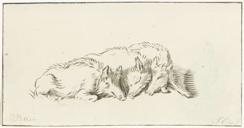 Drie liggende zwijnen by Jurriaan Cootwijck