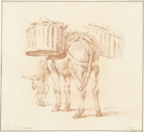 Beladen ezel by Jurriaan Cootwijck