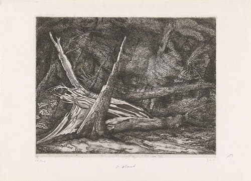 Gevelde bomen na een storm by Jacobus Ludovicus Cornet