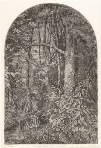 Bos met beek by Jacobus Ludovicus Cornet
