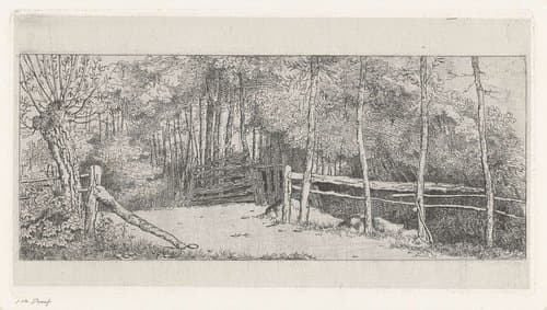 Weggetje langs een bos te Cronensteyn by Jacobus Ludovicus Cornet