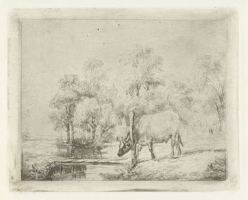Landschap met een koe naast een sloot by Antonie Franciscus Dona