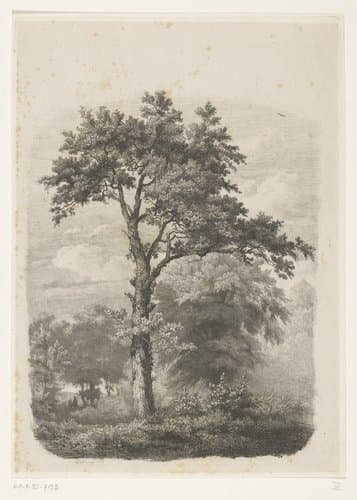 Vrijstaande loofboom in landschap by Pierre Louis Dubourcq