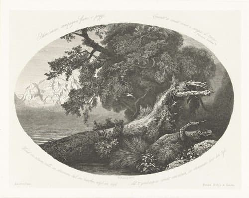 Ontwortelde boomstam aan de kust by Pierre Louis Dubourcq