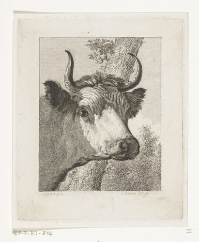 Koeienkop naar rechts by Joannes Bemme