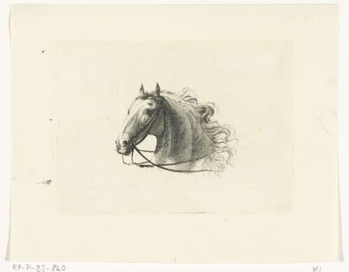 Paardenhoofd, naar links by Joannes Bemme