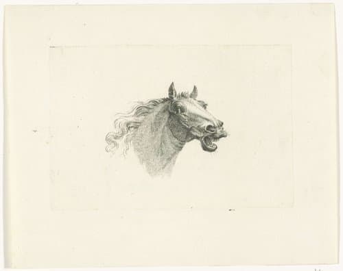 Paardenhoofd met open bek by Joannes Bemme