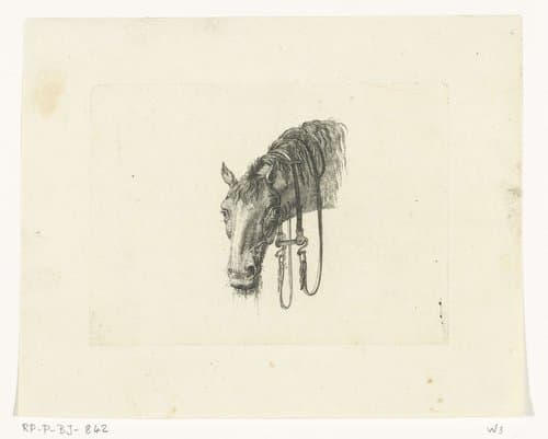 Paardenhoofd met hangende leidsels by Joannes Bemme