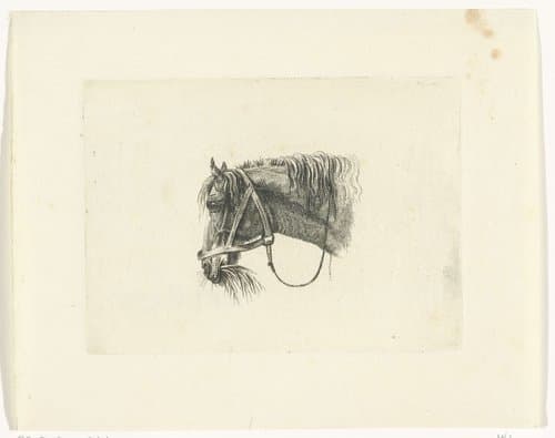 ?/12 by Joannes Bemme