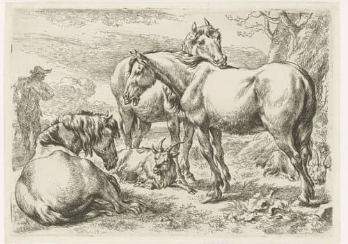 Dieren