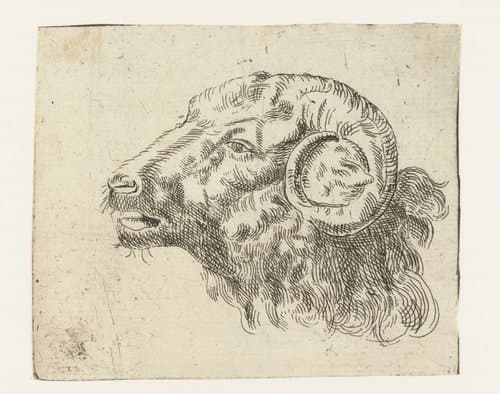 Kop van een ram by anonymous