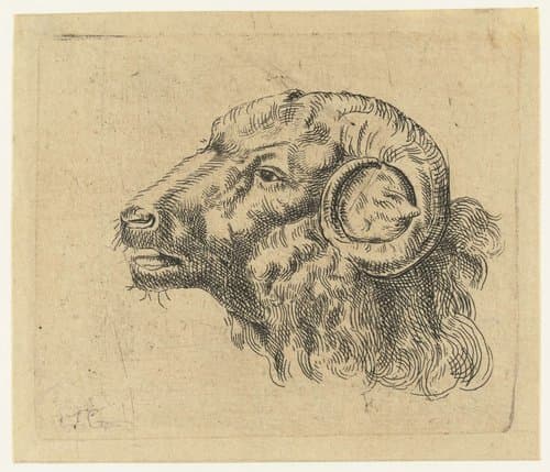 Kop van een ram by Monogrammist IFG (graveur)