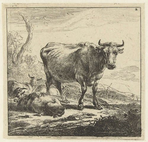 Koe by Nicolaes Pietersz Berchem