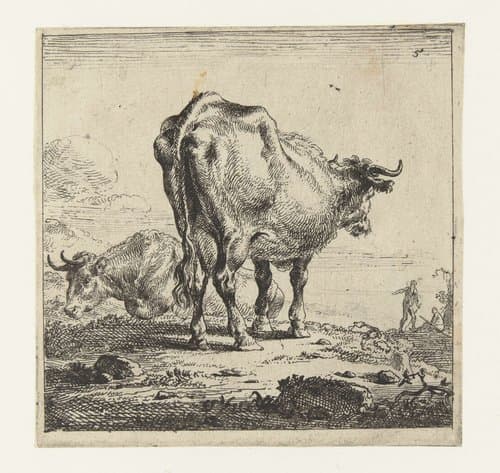 Koe van achteren gezien en koe op een helling by Nicolaes Pietersz Berchem