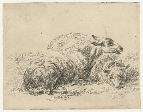 Animalia ad vivum delineata et aqua forti aeri impressa Studio et Arte Nicolai Berchemi by Nicolaes Pietersz Berchem