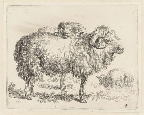 Schapen by Nicolaes Pietersz Berchem