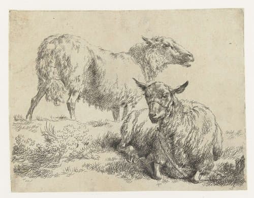 Animalia ad vivum delineata et aqua forti aeri impressa Studio et Arte Nicolai Berchemi by Nicolaes Pietersz Berchem