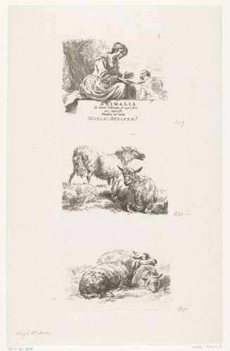 Animalia ad vivum delineata et aqua forti aeri impressa Studio et Arte Nicolai Berchemi by anonymous