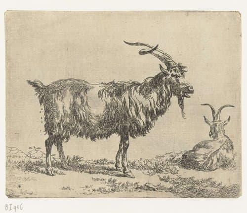 Twee geiten by Nicolaes Pietersz Berchem