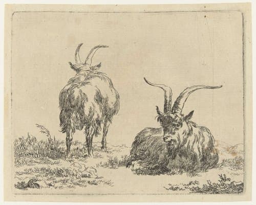 Geiten by Nicolaes Pietersz Berchem
