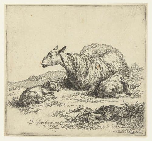Animalia ad vivum delineata et aqua forti aeri impressa Studio et Arte Nicolai Berchemi by Nicolaes Pietersz Berchem